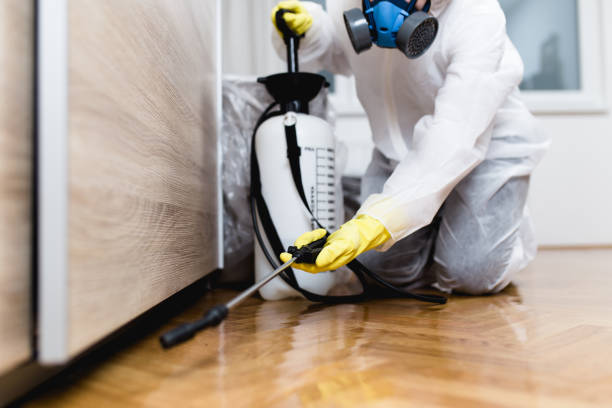 Best Wasp Removal Services  in Williamstown, PA