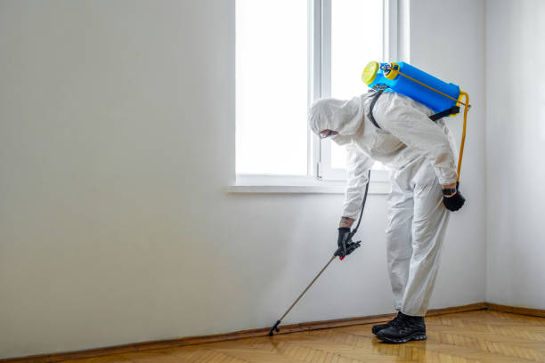 Wildlife Control Services in Williamstown, PA