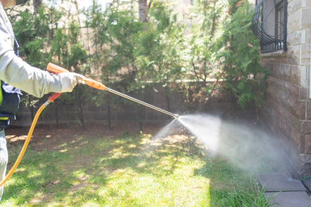 Best Flea Control Services  in Williamstown, PA